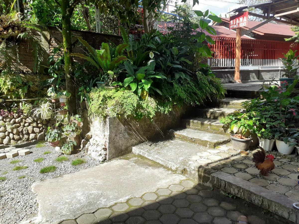 Riana'S Homestay Rantepao Luaran gambar